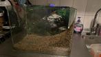 Aquarium bak, Ophalen, Gebruikt, Leeg aquarium