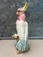 Antiek Tsjechoslowaaks Kaketoe Beeld, Antiek en Kunst, Kunst | Beelden en Houtsnijwerken, Ophalen of Verzenden