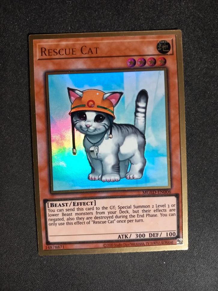 Maximum Gold: El Dorado Rescue Cat 006 Holo NM, Hobby en Vrije tijd, Verzamelkaartspellen | Yu-gi-Oh!, Zo goed als nieuw, Losse kaart