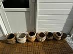 Mand in diverse uitvoeringen, €2.5 per stuk, Tuin en Terras, Bloembakken en Plantenbakken, Overige materialen, Gebruikt, Minder dan 30 cm