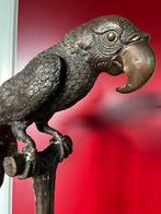 Bronzen Beeld ARA Sculptuur van PAPEGAAI / ARA op tak 121 cm, Ophalen, Brons