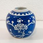 Chinese gemberpot. Blauw Wit porselein. Kersenbloesem Prunus, Ophalen of Verzenden