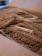Gele trosgierst 1 kg 6 euro, Tropenvogel