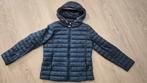 Tommy Hilfiger jas maat M, Maat 38/40 (M), Blauw, Ophalen of Verzenden, Gedragen
