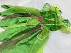 Elfjesjurk Tinkerbell Disneyjurk 7-8 yrs mt 128 met vleugels, Ophalen of Verzenden, Zo goed als nieuw, Maat 34 (XS) of kleiner