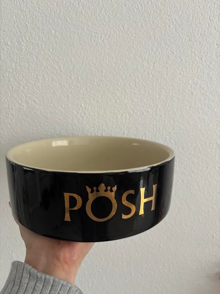 Nieuw Posh keramische hondenvoerbak – zwart/goud, Dieren en Toebehoren, Ophalen of Verzenden, Nieuw