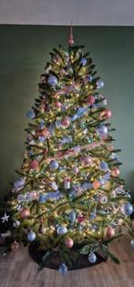 Kerstboom - Intratuin Romagne (Triumph Tree) 156x230, Ophalen, Zo goed als nieuw