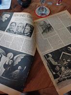 Artikel het heilig bruurke van Megen 1953, Verzamelen, Tijdschriften, Kranten en Knipsels, 1940 tot 1960, Knipsel(s), Ophalen of Verzenden