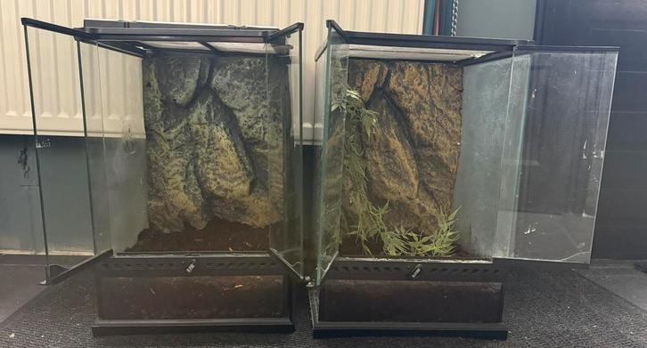 1 gebruikt exo terra terraria 30x30x45, Dieren en Toebehoren, Reptielen en Amfibieën | Toebehoren, Zo goed als nieuw, Terrarium of Paludarium