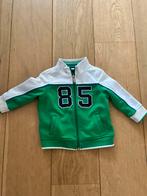 Vest jasje tommy hilfiger 18 mnd, Ophalen of Verzenden, Zo goed als nieuw, Jongetje, Jasje