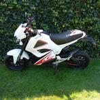 Retelli Drago elektrische bromfiets/scooter, Z.G.A.N!!, Ophalen, Zo goed als nieuw