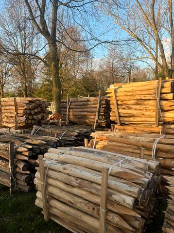 Robinia weipalen beschikbaar voor biedingen
