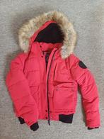 Superdry Everest pilotenjack, Kleding | Dames, Superdry, Ophalen of Verzenden, Zo goed als nieuw, Maat 36 (S)