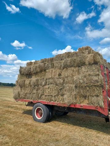 Kleine pakjes BIO hooi beschikbaar voor biedingen