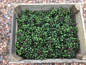 Steekbesjes groen 12 toefjes in 1 verpakking beschikbaar voor biedingen