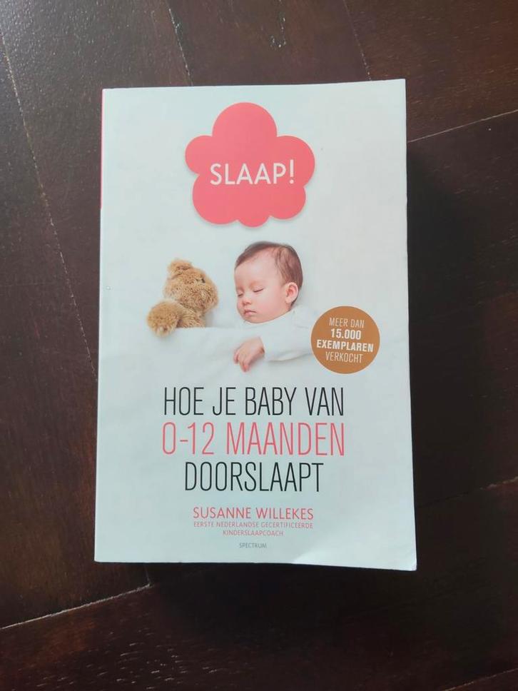 Hoe je baby doorslaapt (0-12 mnd) - Susanne Willekes, Boeken, Zwangerschap en Opvoeding, Gelezen, Opvoeding tot 6 jaar, Ophalen of Verzenden