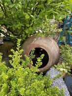 Terracotta vaas tuinvaas olijfvaas kruik