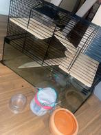 Hamsterkooi glas en tralies .zwart, Januari, Mannelijk, Hamster