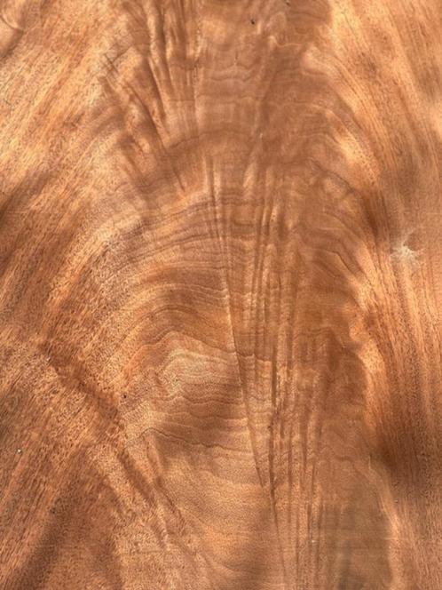 FINEER, Doe-het-zelf en Verbouw, Hout en Planken, Nieuw, Plank, 250 tot 300 cm, Minder dan 25 mm, Ophalen of Verzenden