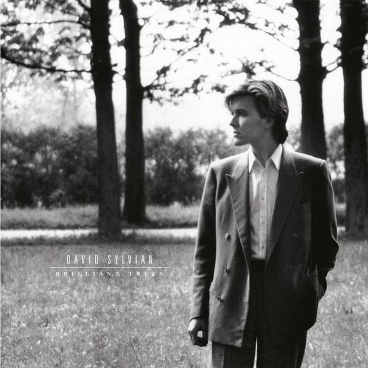 David Sylvian ‎- Brilliant Trees - Vinyl LP - Remastered, Cd's en Dvd's, Vinyl | Rock, Zo goed als nieuw, Poprock, 12 inch, Ophalen