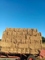 Hooi pakjes, Dieren en Toebehoren, Dierenvoeding, Ophalen of Verzenden, Vee