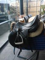 Zadel jc pony, Januari, Mannelijk