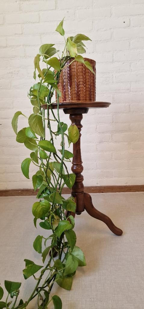 Vintage wijntafel - plantentafel, Gebruikt, Onbekend, Ophalen of Verzenden, Onbekend