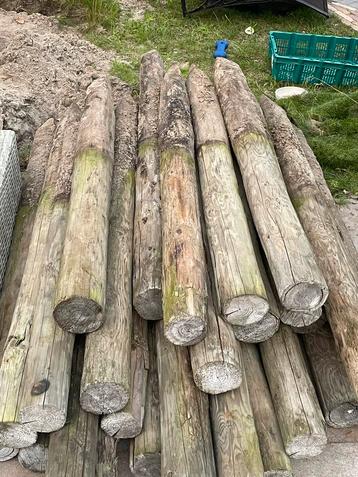 Ronde houten palen min 12cm beschikbaar voor biedingen