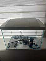 Aquarium, Ophalen of Verzenden, Gebruikt, Leeg aquarium