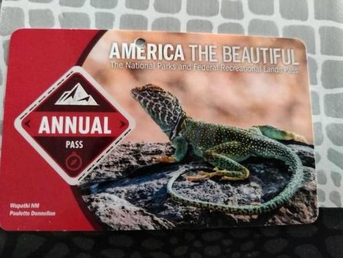 America the beuatiful annuel pass, Tickets en Kaartjes, Overige Tickets en Kaartjes, Drie personen of meer