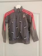 Adidas Marvel Trainingsjasje maat 128, Ophalen of Verzenden, Zo goed als nieuw, Adidas, Jongen of Meisje