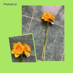 Nieuw =narcissen/nep bloemen =decoratie/takken, Ophalen of Verzenden, Nieuw, Binnen