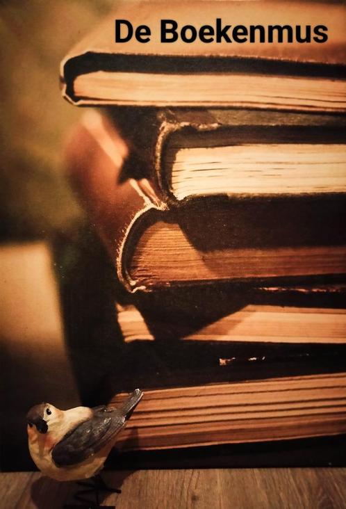 De Boekenmus, Boeken, Godsdienst en Theologie, Gelezen, Christendom | Katholiek, Christendom | Protestants, Ophalen of Verzenden