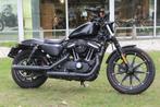 Harley-Davidson XL 883 Iron, 2 cilinders, Chopper, Bedrijf, 883 cc