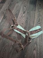 Bruin halster met blauw bont, Ophalen of Verzenden, Gebruikt, Overige soorten
