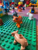 Grote Duplo verzameling - Dieren, wagens, blokken!, Ophalen, Gebruikt, Losse stenen, Duplo