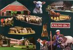 EXLOO Schaapskooi Kudde Tehuis Paarden Herder, Verzenden, 1980 tot heden, Gelopen, Drenthe