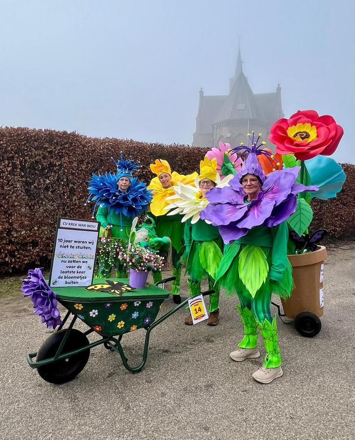 Loopgroep carnaval, Kleding | Dames, Carnavalskleding en Feestkleding, Zo goed als nieuw, Carnaval, Ophalen