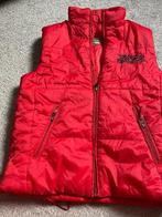 Bodywarmer, Ophalen of Verzenden, Zo goed als nieuw, Maat 38/40 (M)