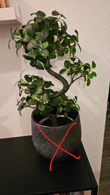 Leuke IKEA kunstplant, Fejka met pot NIEUW! beschikbaar voor biedingen