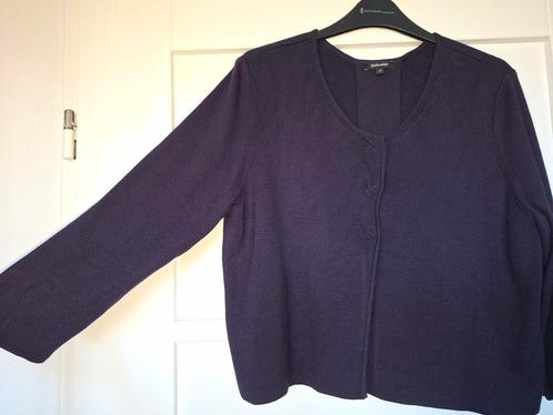 Paars vest van Claudia strater maat 42, Kleding | Dames, Truien en Vesten, Gedragen, Maat 42/44 (L), Paars, Ophalen of Verzenden