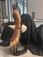 Adelaar Beeld - 50cm - in de vlucht, Ophalen of Verzenden, Nieuw, Dier