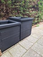 Bloembakken., Ophalen, Nieuw, Hout, Minder dan 60 cm