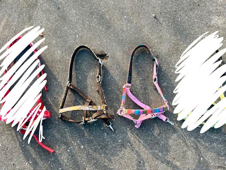 Halsters mini shet, Dieren en Toebehoren, Paarden en Pony's | Hoofdstellen en Tuigage, Zo goed als nieuw, Overige soorten, Ophalen of Verzenden