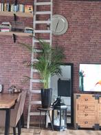 Schilderstrap, Doe-het-zelf en Verbouw, Ladders en Trappen, Ophalen of Verzenden, Minder dan 2 meter