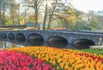 Parkeerkaart Keukenhof, Eén persoon