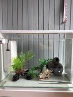SUPERFISH Aquarium home 60 wit, Dieren en Toebehoren, Ophalen, Zo goed als nieuw