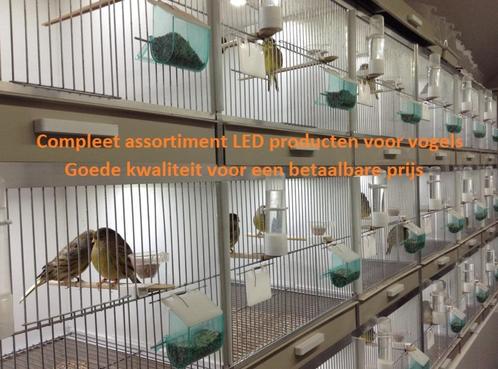 Uw kanaries huisvesten met Avicultuur-LED verlichting, Dieren en Toebehoren, Vogels | Kanaries, Meerdere dieren