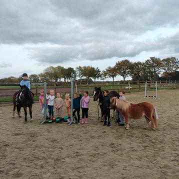 Paardenfeestje beschikbaar voor biedingen