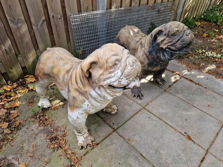 Unieke heeeel grote kunststof Engelse buldog honden, buiten., Verzamelen, Dierenverzamelingen, Zo goed als nieuw, Opgezet dier